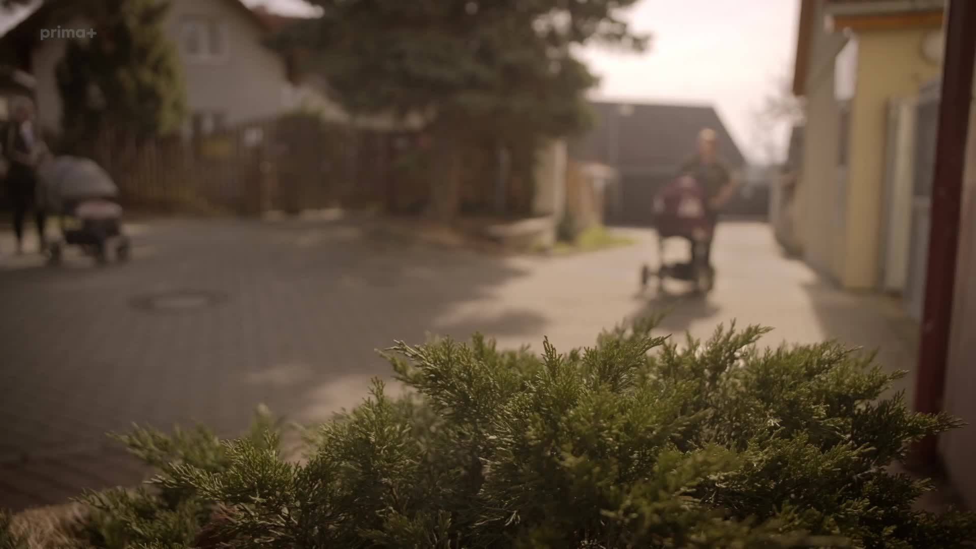 Czech murders S01E02 mkv