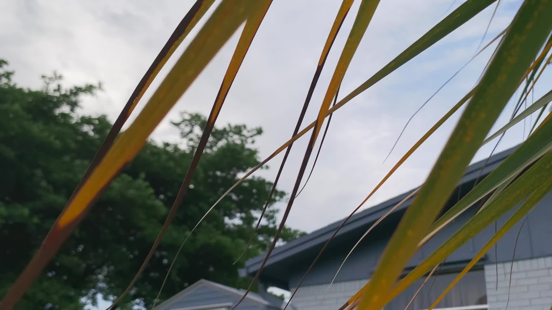 Dokonalá sousedka 2025 DOCU CZ dabing HD 1080p mkv