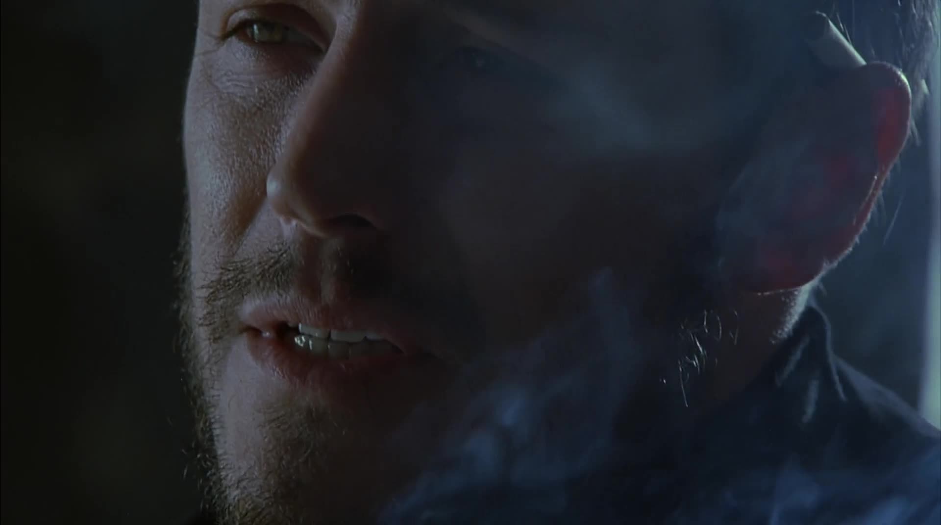 Cizinec (Steven Seagal, Max Ryan, Harry Van Gorkum 2003 Akční Thriller Bdrip 1080p ) Cz+Sk dabing mkv