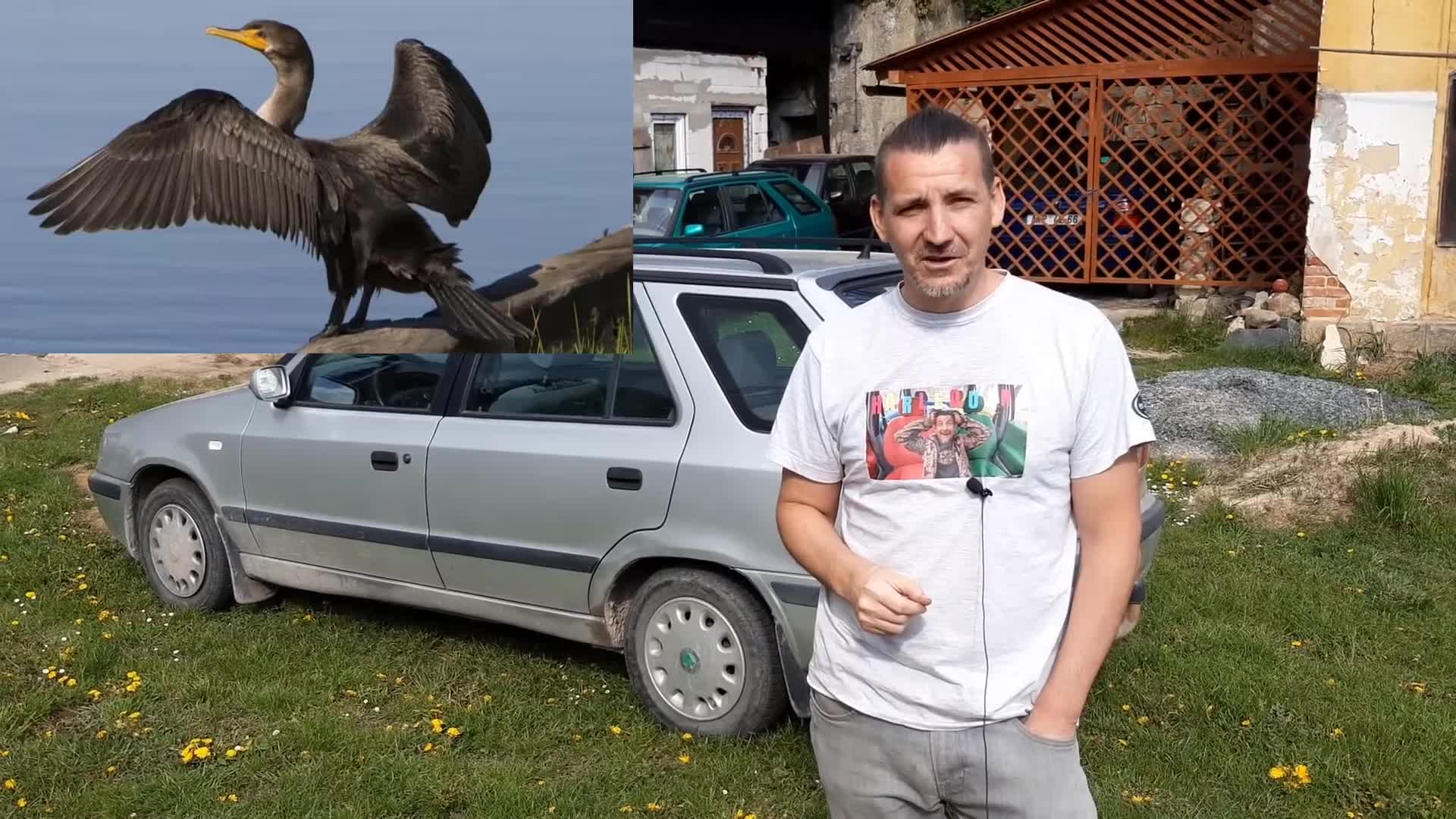 Škoda Felicia Magic 1 9 D Combi dovoz Belgie erbos cz mp4