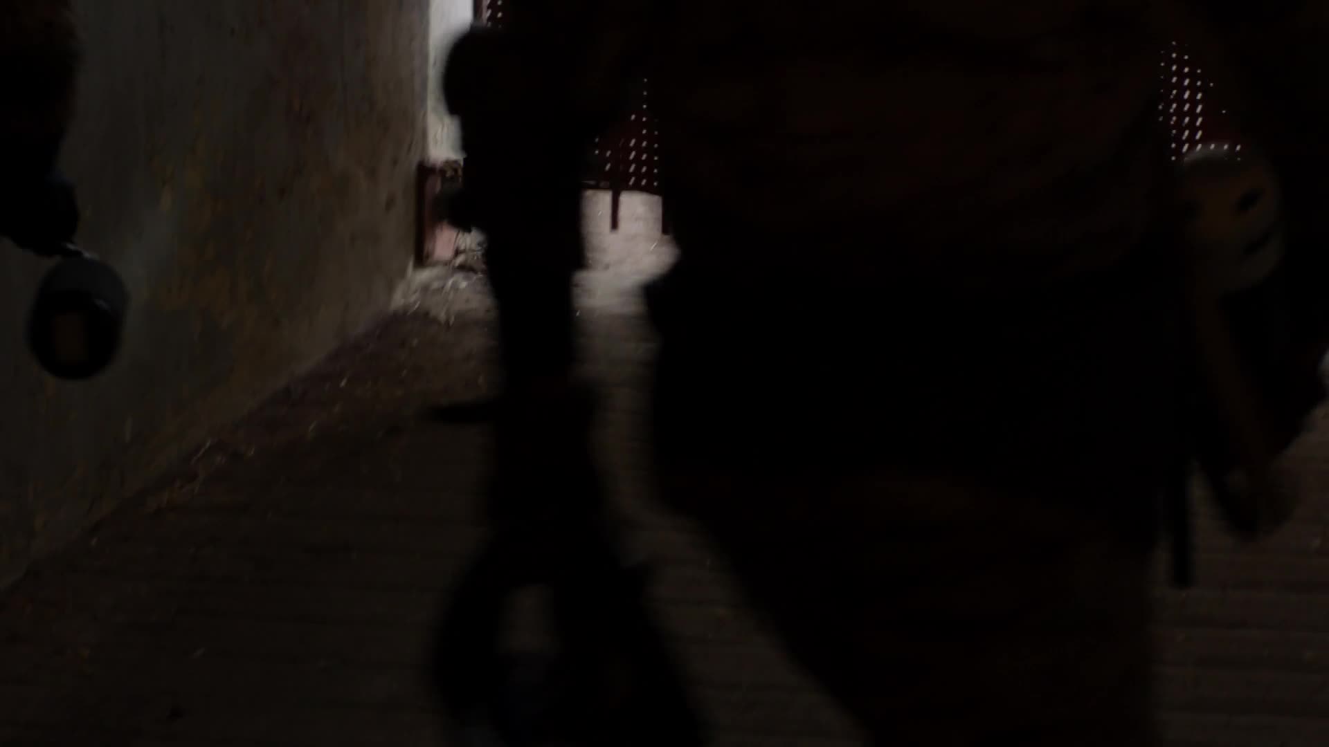 Animal Kingdom S01E09 10 2016 CZ dab 1080p Jidášův polibek mp4