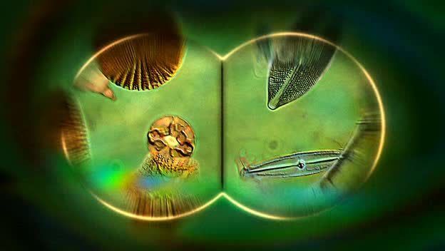 Kriminálka Las Vegas S06E13 24 2005 CZ dab 360p Sbohem a polibek avi