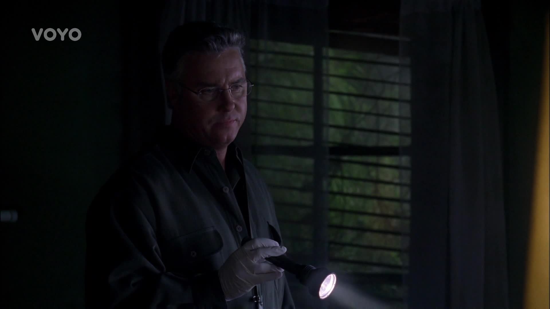 Kriminálka Las Vegas S02E20 23 2001 CZ dab 1080p Kočičinec mp4