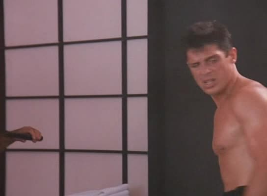 Americký ninja 5 =1993 CZ avi