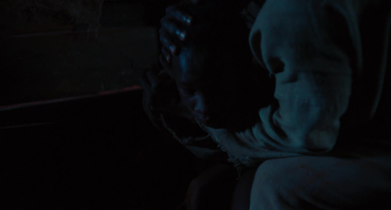 Ni Chaines Ni Maitres 2024 720p BluRay DD 5 1 x264 MegaPeer mkv