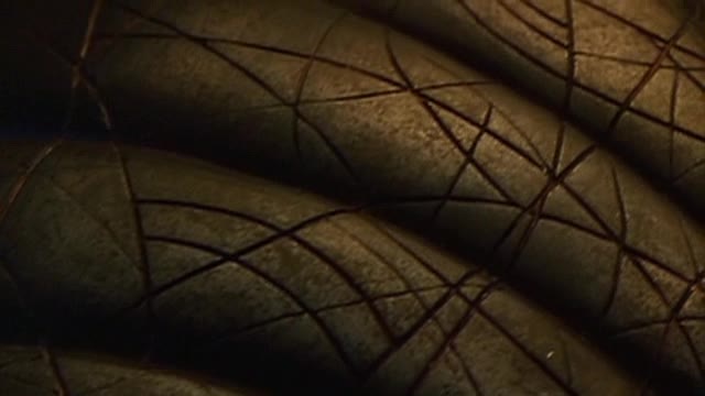 Stargate SG1 4x19 Zazracne dite avi