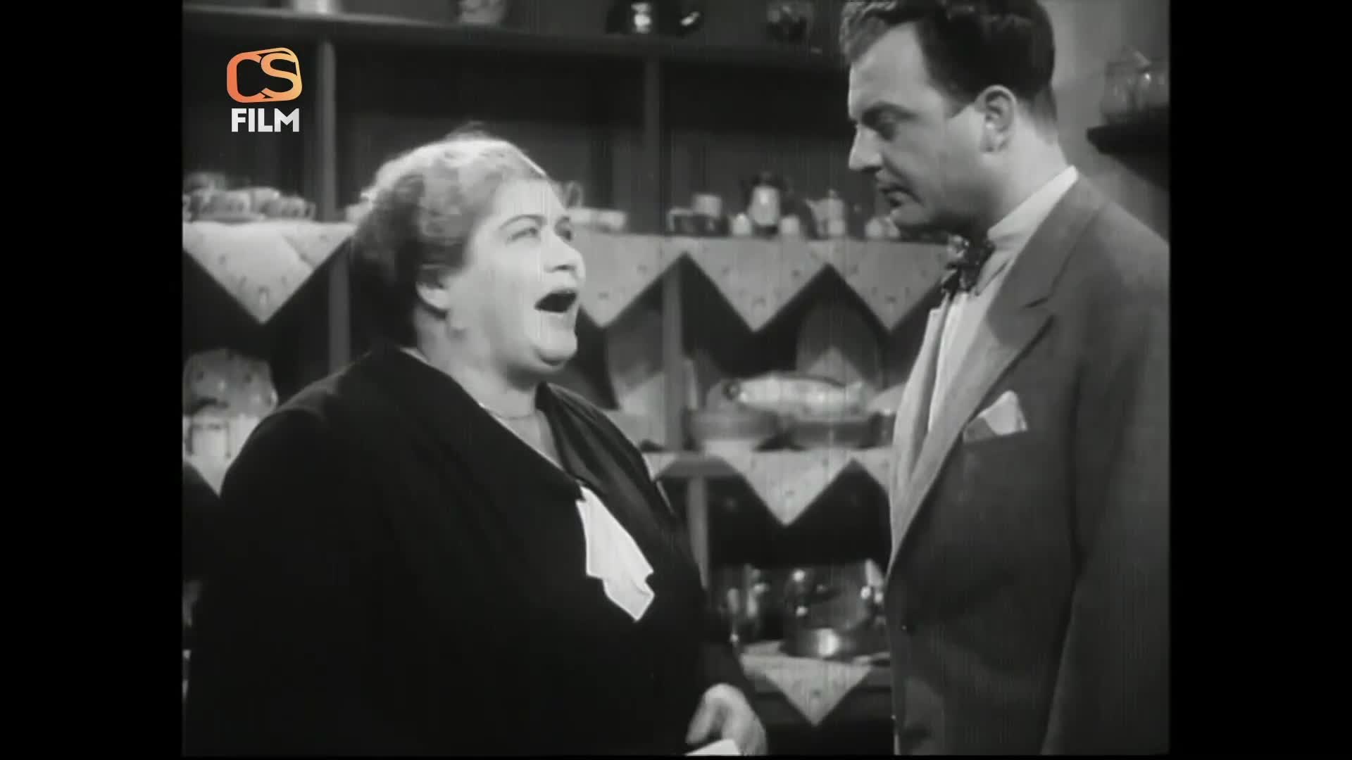 Dokud máš maminku (1934) web rip 1080p mkv