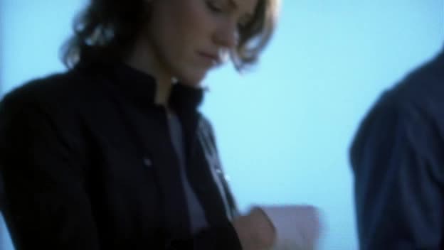 Kriminálka Las Vegas 10x23 Řezník Jekyll avi