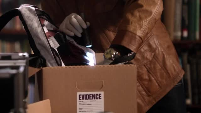 Kriminálka New York S09E08 Pozdní přiznání CZdabing avi