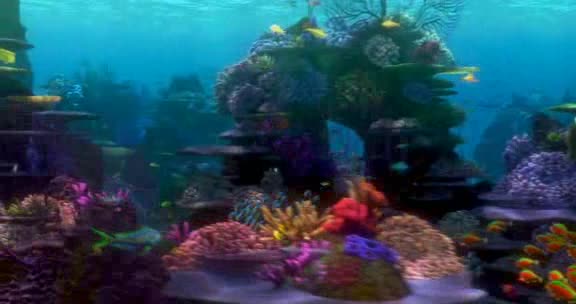 Hledá se Nemo (animované) avi