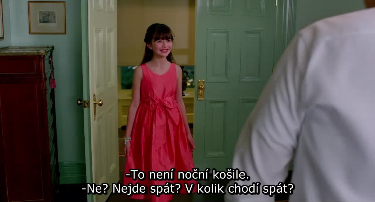 Já, kocour Devět životů (Jennifer Garner,Robbie Amell,Kevin Spacey 2016 Fantasy Komedie Drama Rodinný Bdrip 1080p ) Cz+Sk dabing mp4
