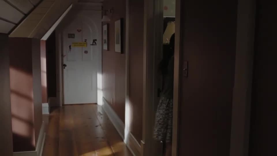 Nezvaná (Emily Browning,Arielle Kebbel,David Strathairn 2009 Drama Horor Mysteriózní Thriller Bdrip 1080p ) Cz dabing mkv
