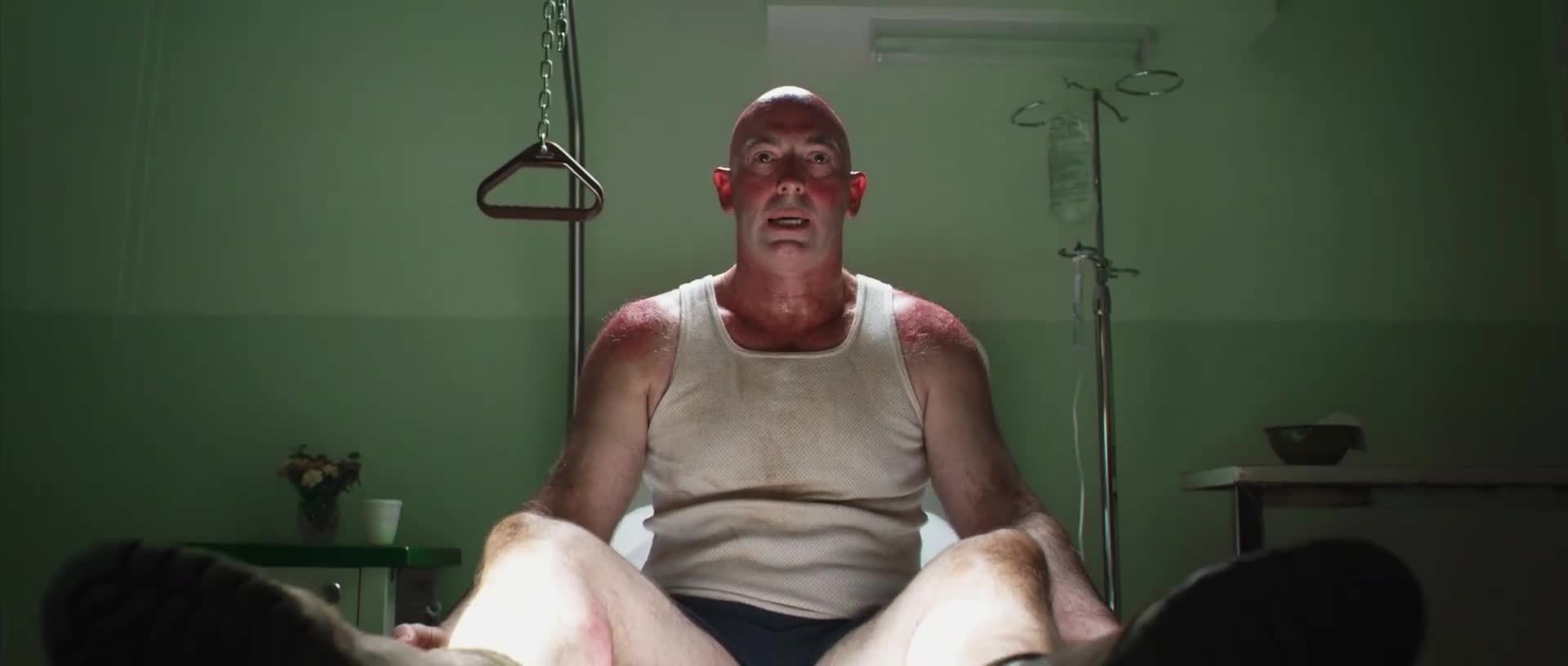 Red Dog psí legenda (Josh Lucas, Koko, Rachael Taylor 2011 Komedie Drama Rodinný Romantický Životopisný Bdrip 1080p ) Sk dabing avi
