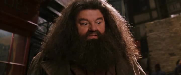 Harry Potter 2 Harry Potter a Tajemná komnata cz dabing avi