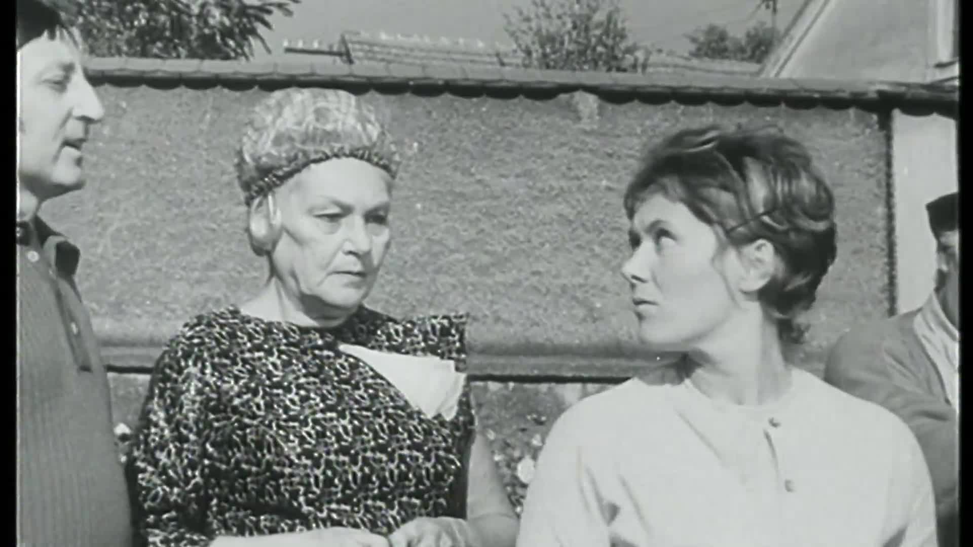 Zlatá svatba {1972} komedie 1080p mkv
