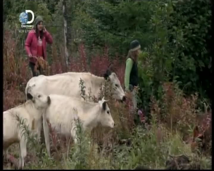 Aljaska posledni divocina 046 SD 04x10 Owen v lete opevnoval statek mkv