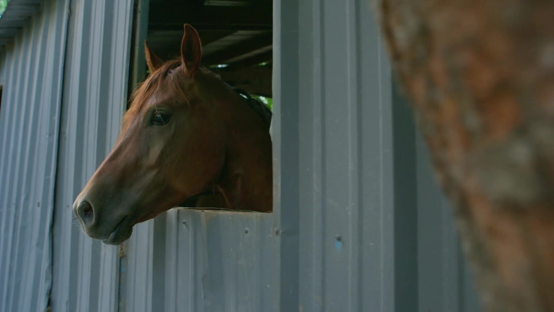 High Horse The Black Cowboy 2025 S01E03 [ENG1080p] mp4