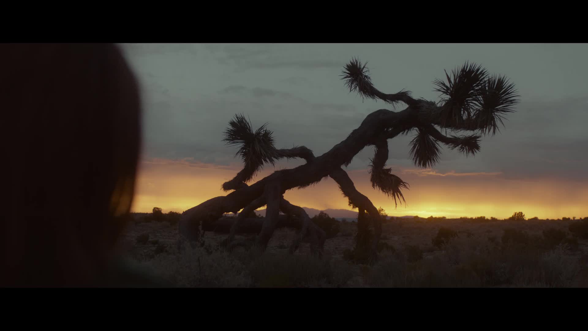 The Glass Castle 2017 [ENG1080p] mp4