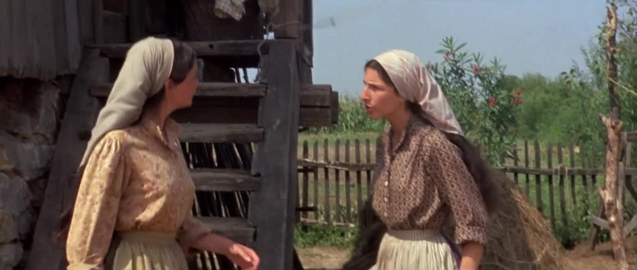 Šumař na střeše 1971 CZ dab mp4