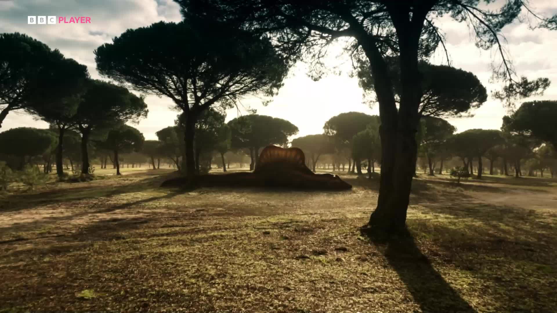 Putování s dinosaury   Walking with Dinosaurs S01E02 2025 DOCU CZ dabing mkv