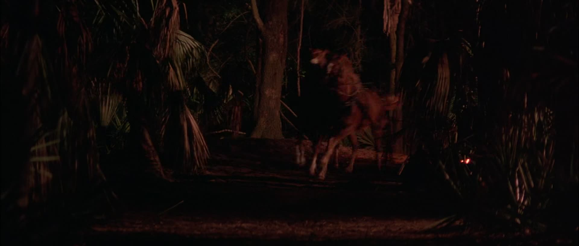 Nová kniha džunglí 1994 CZ dabing HD mkv