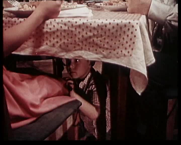 1964 Táto sežeň štěně avi