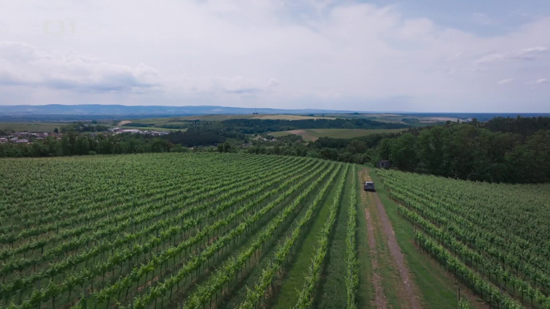 Místo zločinu Zlín S01E10 {2026} krimi, drama 1080p mkv