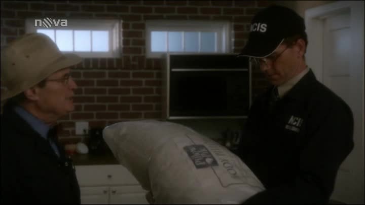 Námořní vyšetřovací služba S11E04 Neznámá byla žena avi