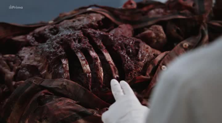 Sběratelé kostí 12x02 Mozek v robotovi avi