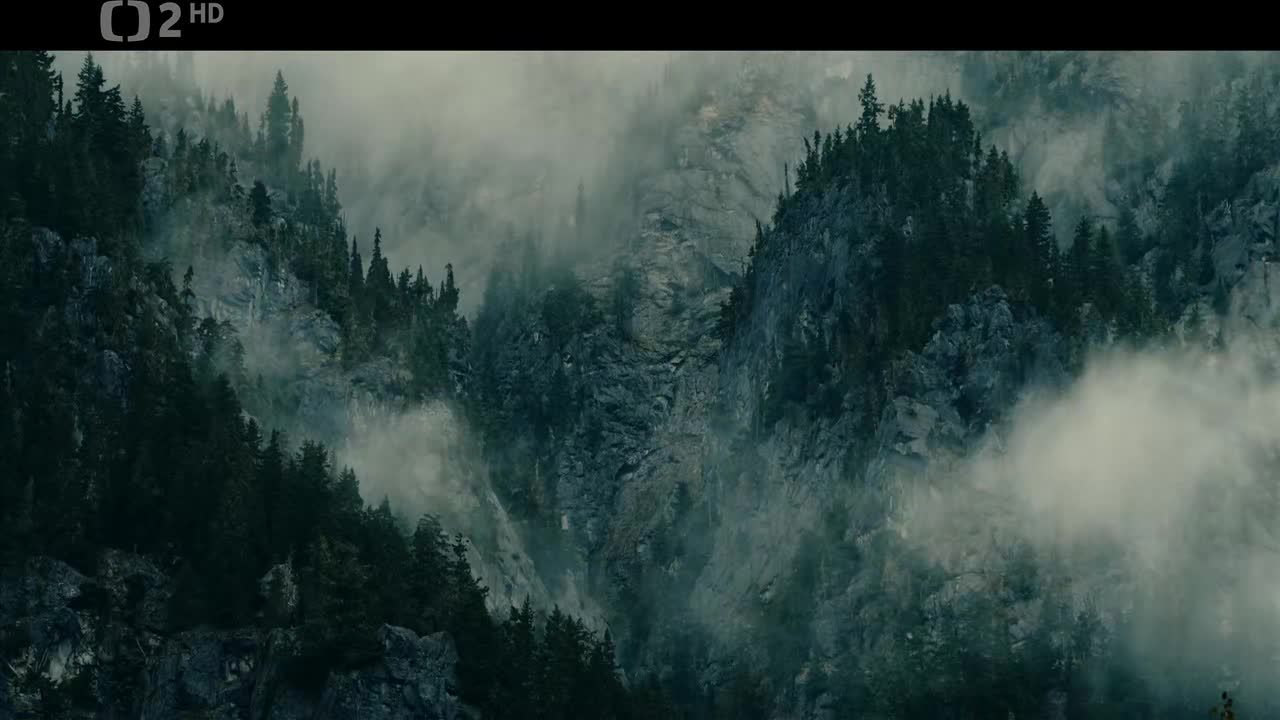 O stromech a lese E01 Severoamerický červený cedr (720p) JackRIPper mp4