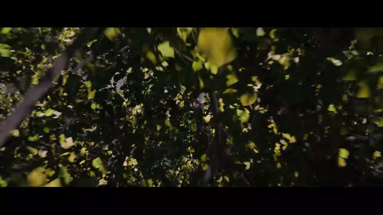 Pátá vlna (Chloë Grace Moretz,Nick Robinson 2016 Dobrodružný Sci Fi Thriller 1080p ) Cz dabing mkv