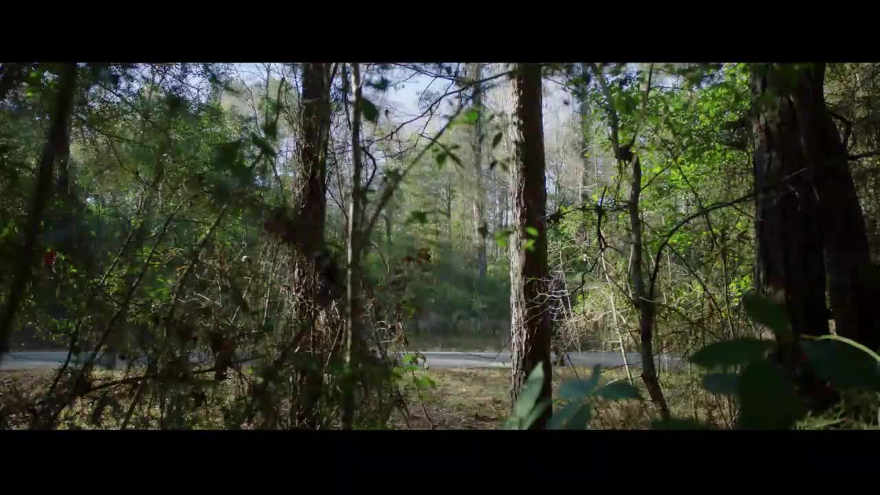 Uteč (Daniel Kaluuya, Allison Williams 2017 Horor mysteriózní thriller 1080p Bdrip ) CZ+SK+EN dabing avi