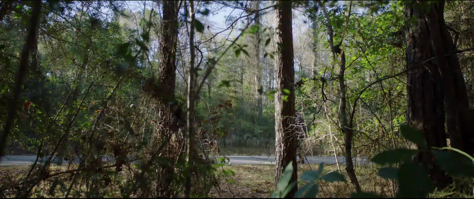 Uteč (Daniel Kaluuya, Allison Williams 2017 Horor mysteriózní thriller 1080p Bdrip ) CZ+SK+EN dabing mkv