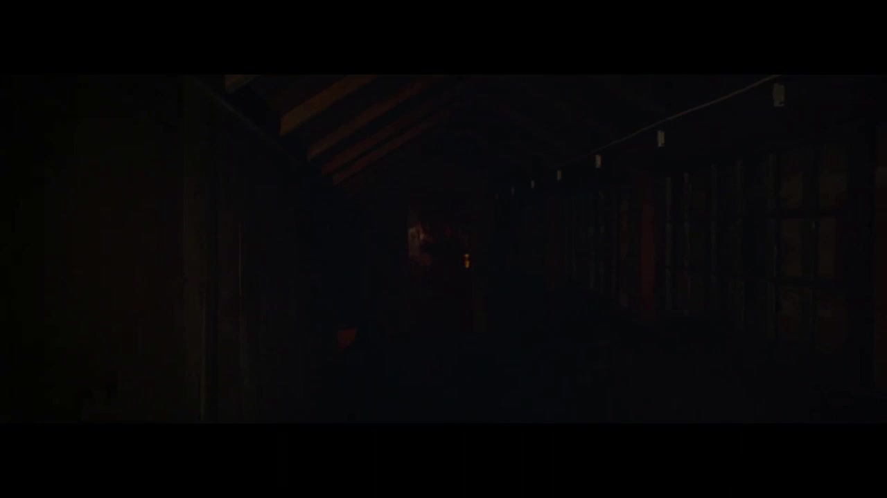 Přicházejí v noci (Joel Edgerton,Carmen Ejogo,Christopher Abbott 2017 Horor Mysteriózní Psychologický Bdrip 1080p ) Cz dabing avi