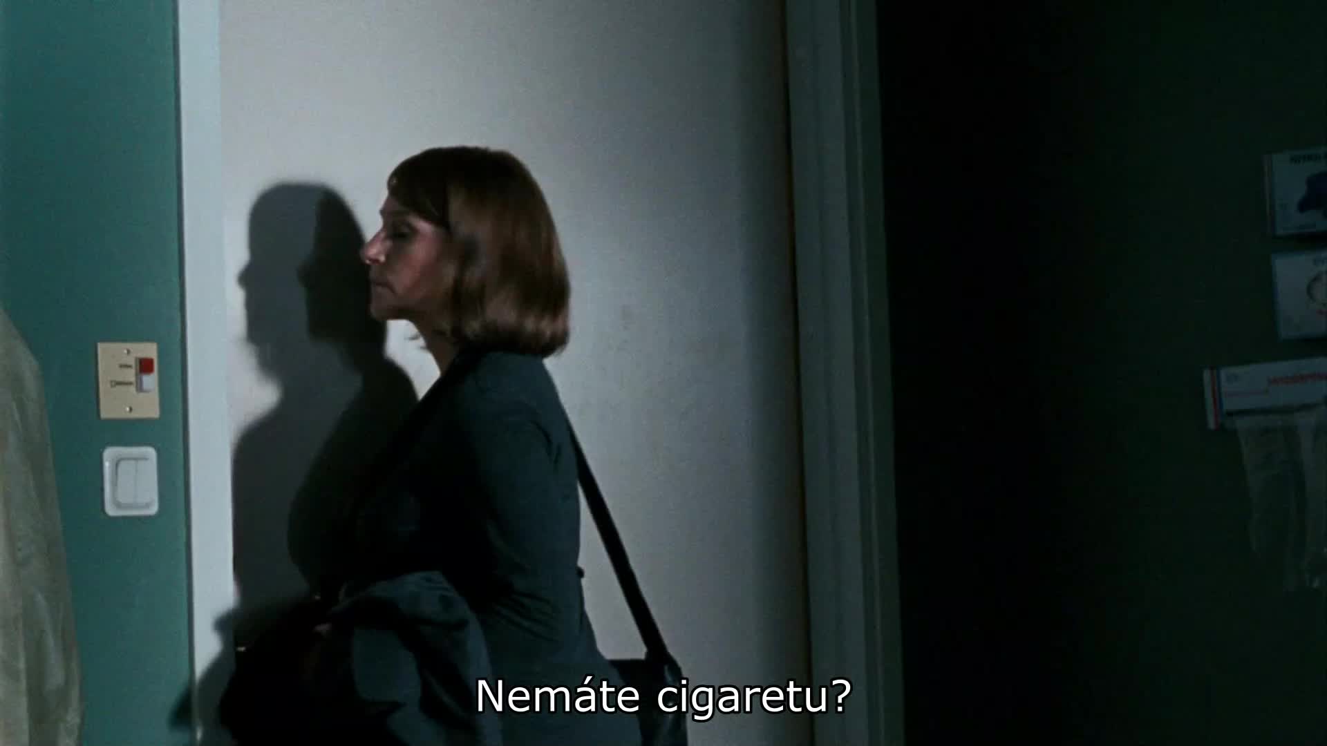 Dívka, která kopla do vosího hnízda (Michael Nyqvist,Noomi Rapace,Lena Endre 2009 Krimi Dráma Thriller Bdrip 1080p ) Cz dabing mkv