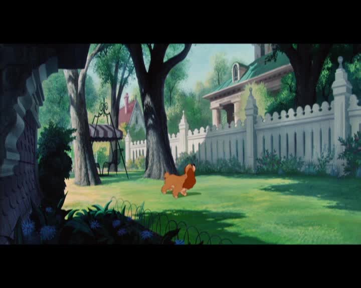 Lady a Tramp I (animované) avi