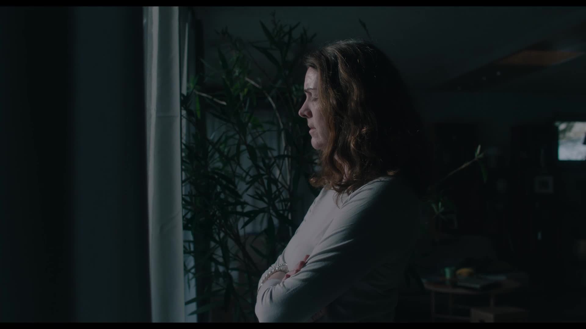 Aneta (2024) dokumentární, krimi mkv