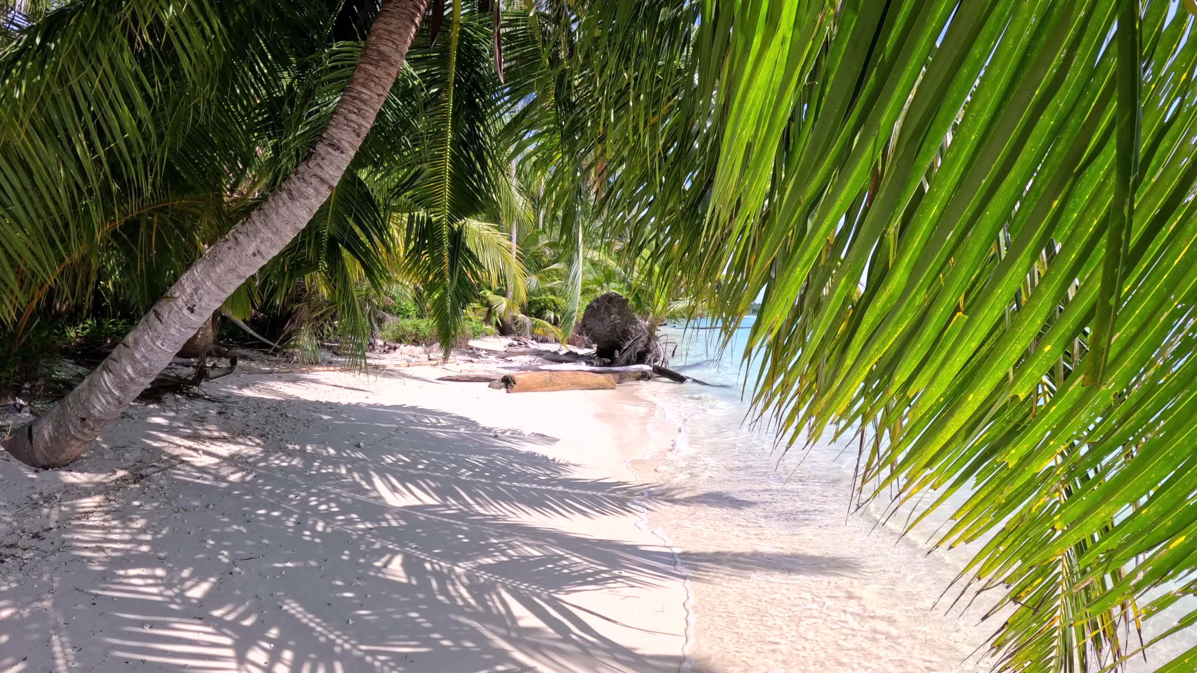 Indonesia Sumatra Palau Palambak March 2025 mp4