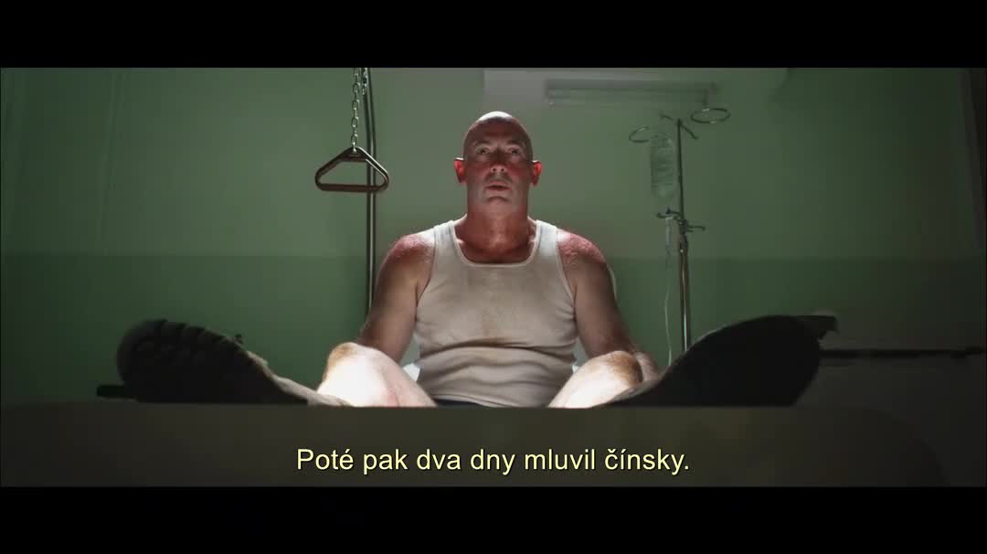Red Dog psí legenda (Josh Lucas, Koko, Rachael Taylor 2011 Komedie Drama Rodinný Romantický Životopisný Bdrip 1080p ) en+Cz dabing mp4