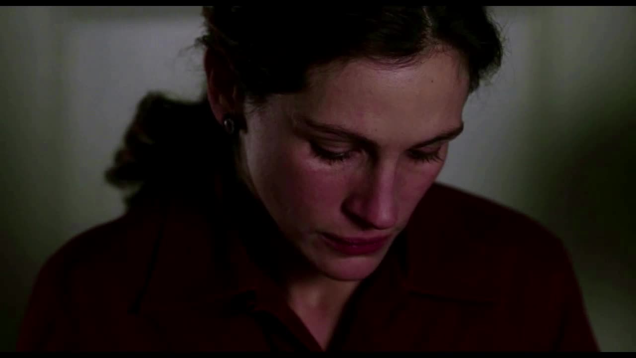 Úsměv Mony Lisy (Julia Roberts, Kirsten Dunst, Julia Stiles 2003 Drama Komedie Romantický Bdrip 1080p ) Sk dabing mkv