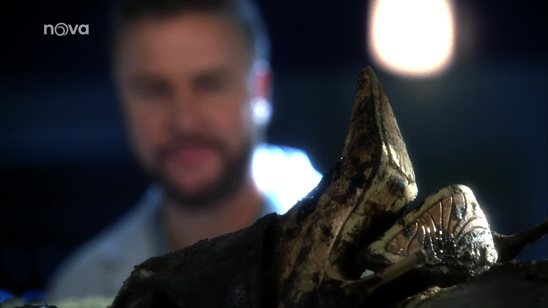 Kriminálka Las Vegas S05E13 25 2004 CZ dab 1080p Matrjoška mp4