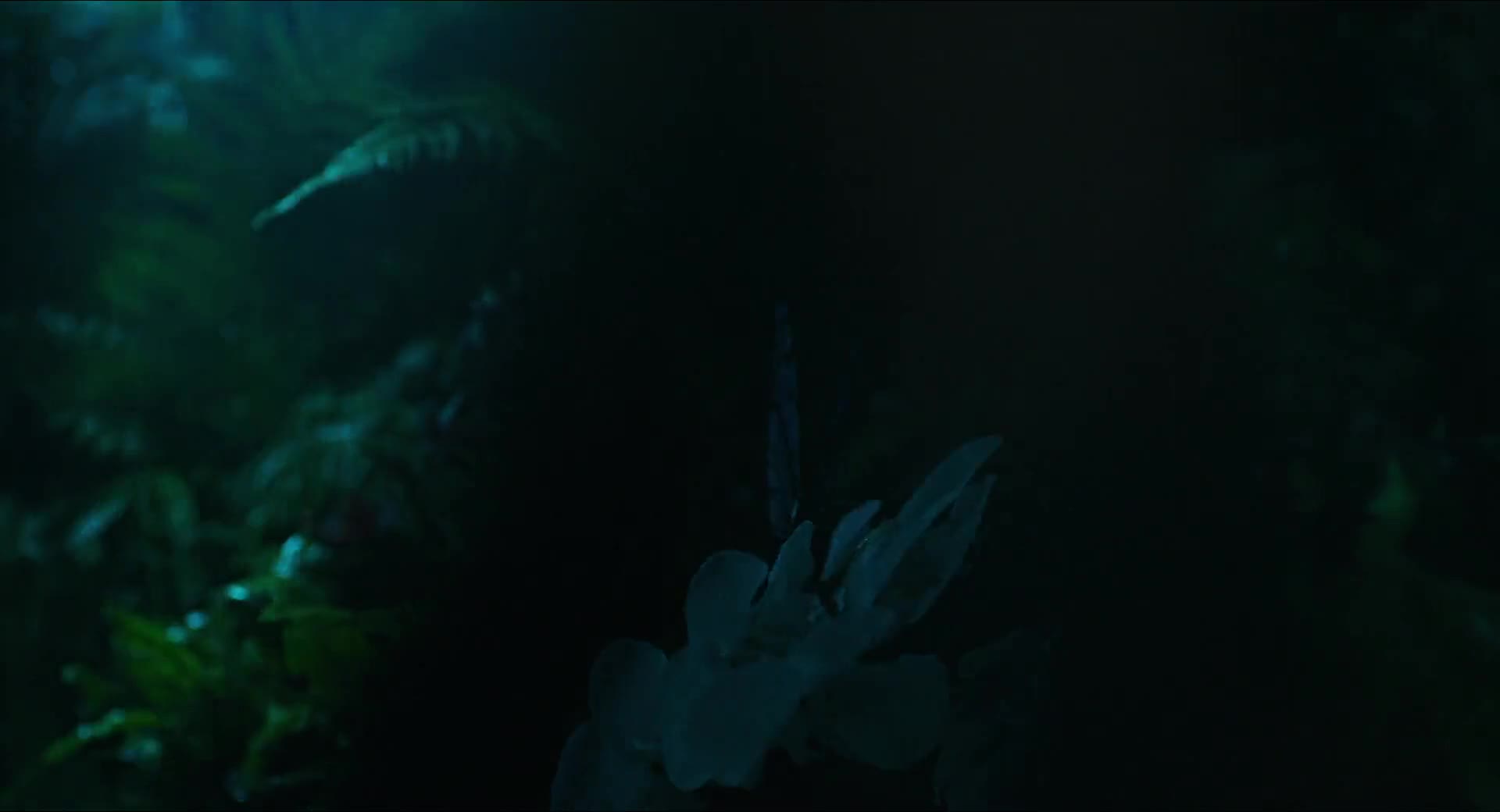 Alenka v říši divů Za zrcadlem 2016 CZ dab 1080p mkv