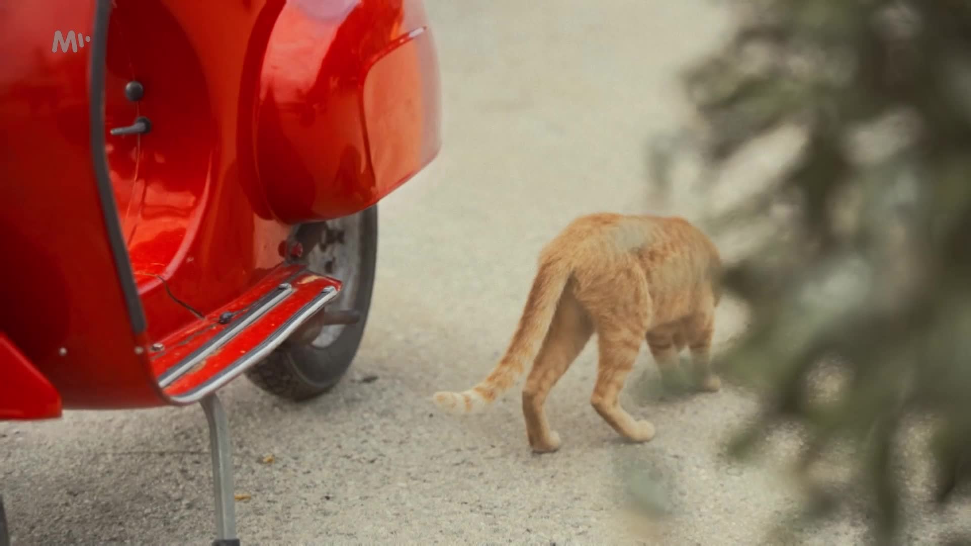 Načo pôjdem domov S01E06 09 2022 SK dab 1080p David si užívá krásy Řecka Naučil se řídit loď, objednal si výborný oběd a „expresso“ mp4