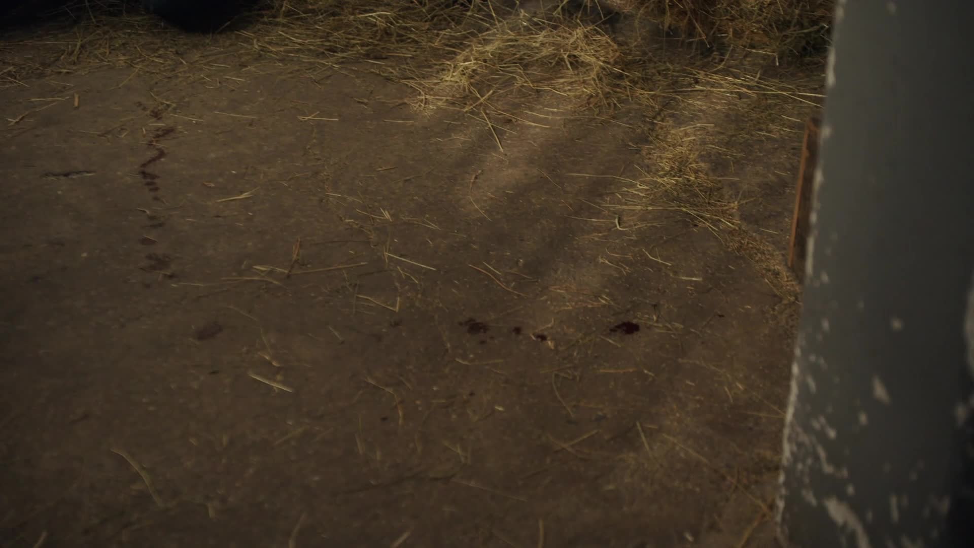 Ranč S01E21 32 2025 SK dab 1080p Episode 21 mp4