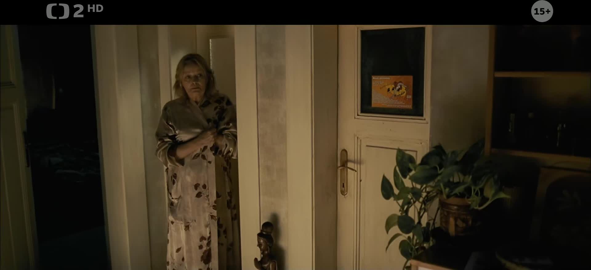 Kráska v nesnázích (ČR 2006, 1080p) JackRIPper mp4