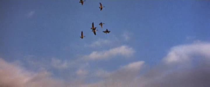 Cesta na západ =1967 West, CZ avi