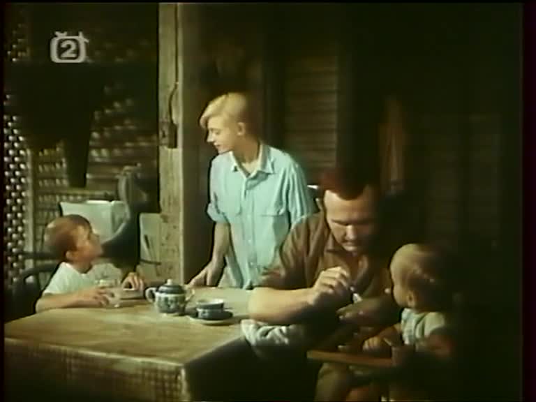 Srdce je osamělý lovec 1968 CZ dab mp4