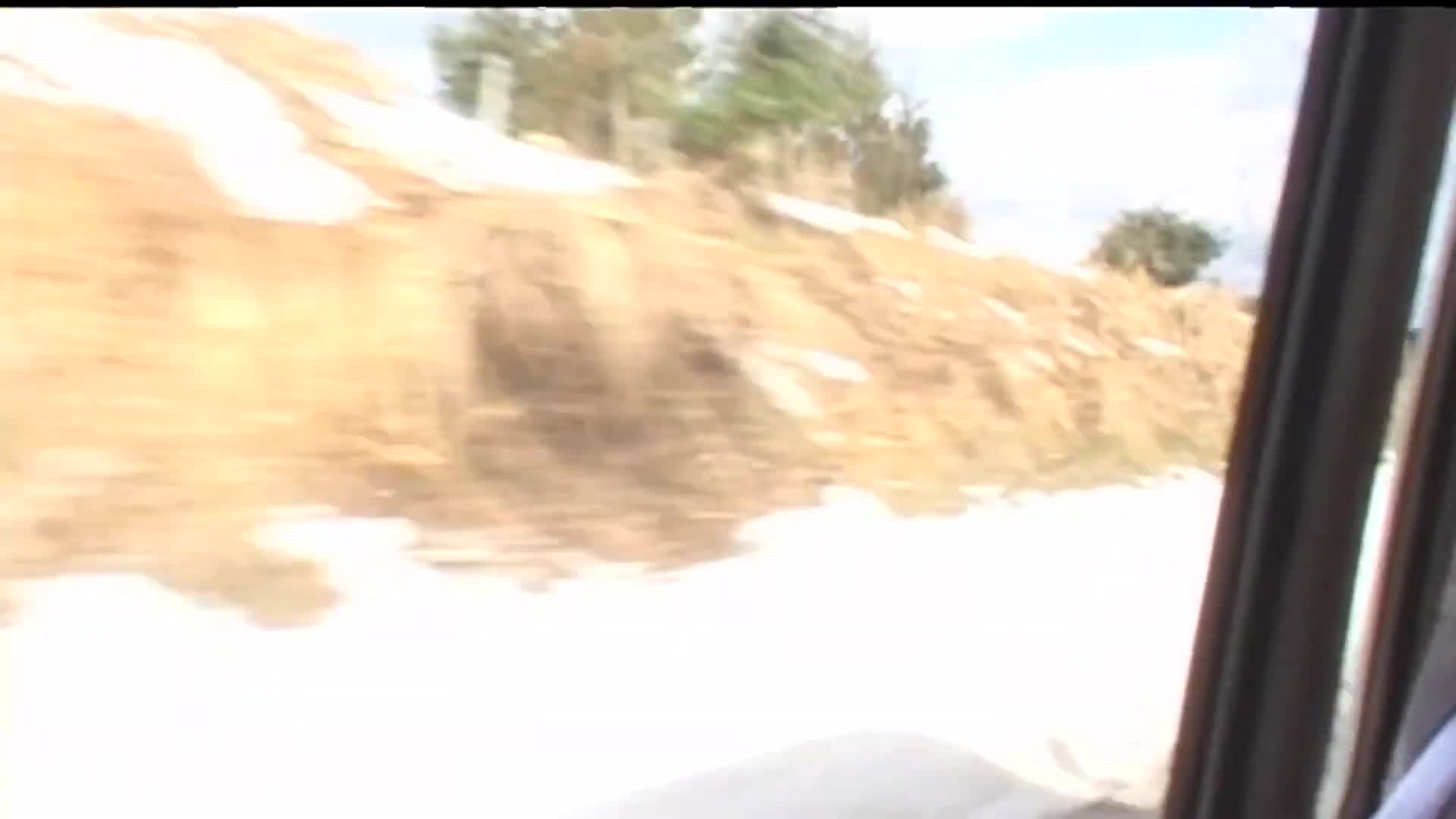 Umareta Basho (Birthplace) (2003) by Hirokazu Kore eda mp4