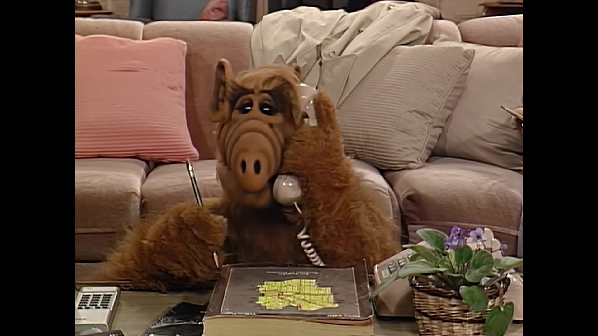 Alf (1986) S01E04 Tajný kód 6 5000 mkv