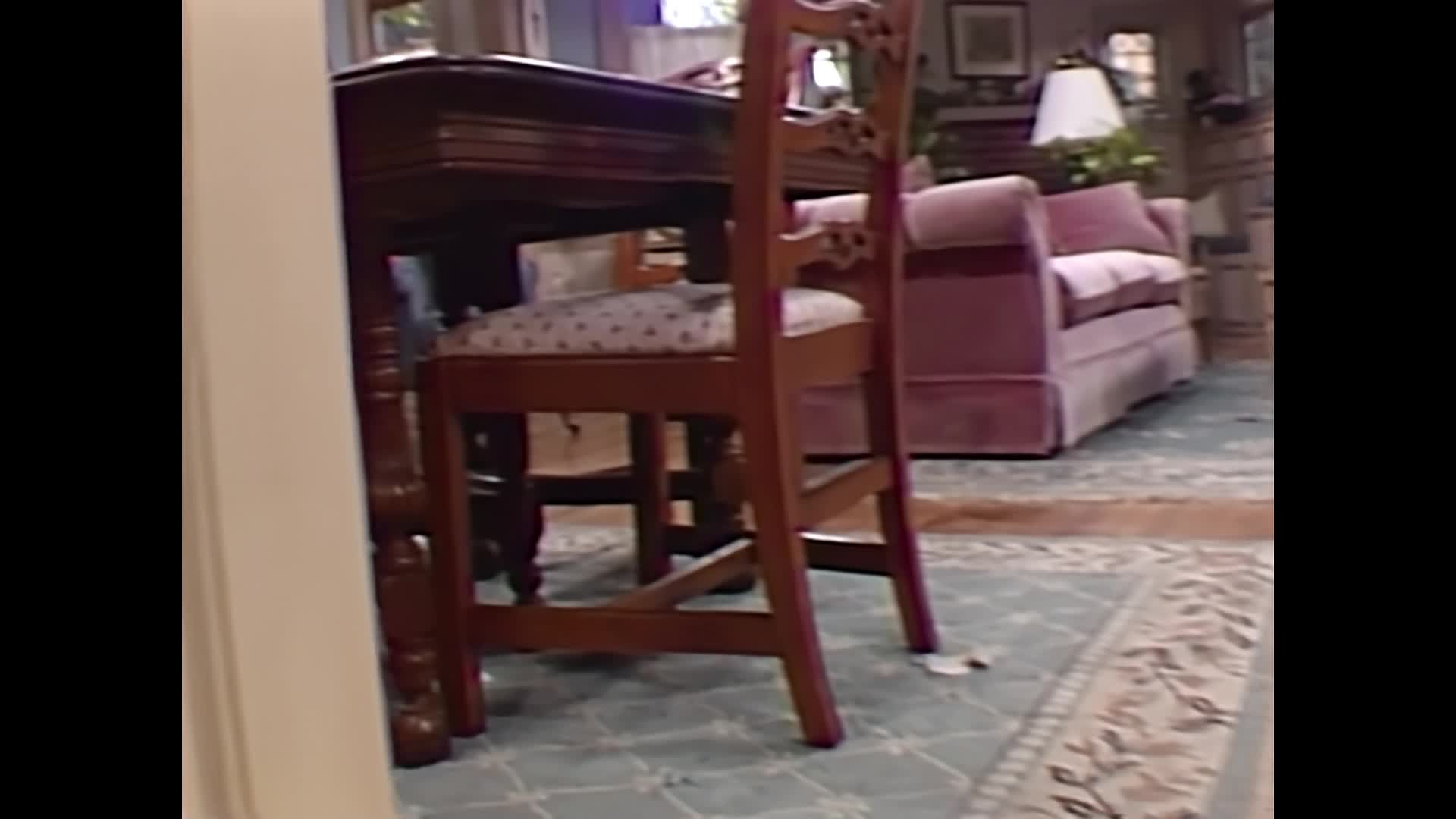 Alf (1986) S01E07 Touha po domově mkv